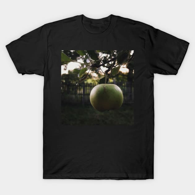 Apple in the tree T-Shirt by CokeyPanda